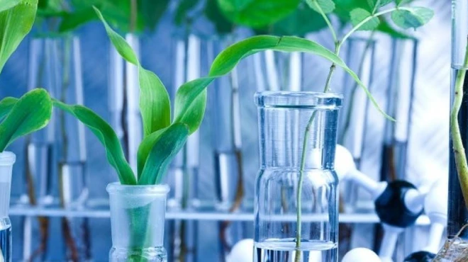 Nurturing the life science ecosystem Nurturing the life science ecosystem