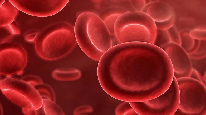 Rebuilding blood Rebuilding blood