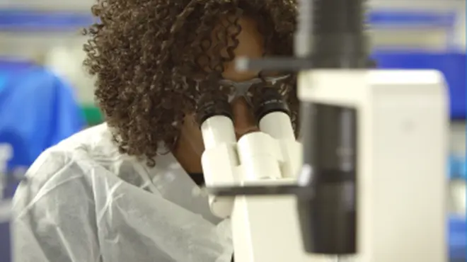 Manufacturing CAR-T Cell Therapies