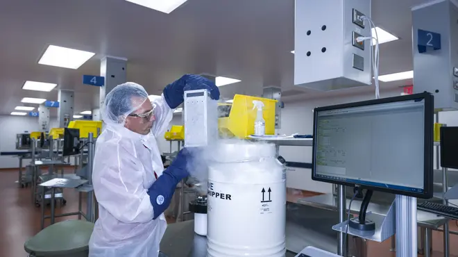 T-Cell arrival