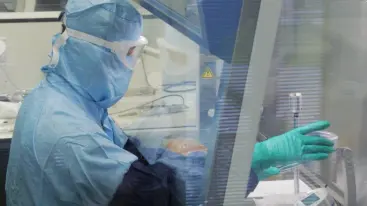 A process operator performs process operation in a biosafety cabinet