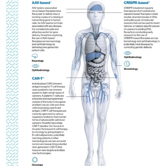 Preview Image of the Cell and Gene Key Focus Areas Infographic