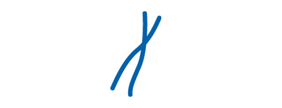 Ikona