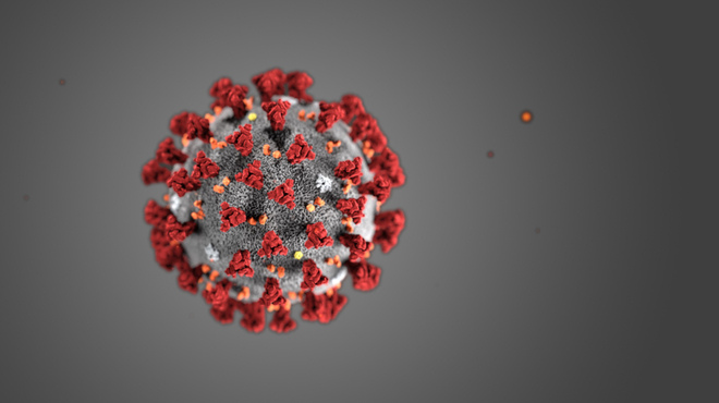 Ilustrácia: Koronavírus (Centers for Disease Control and Prevention) 