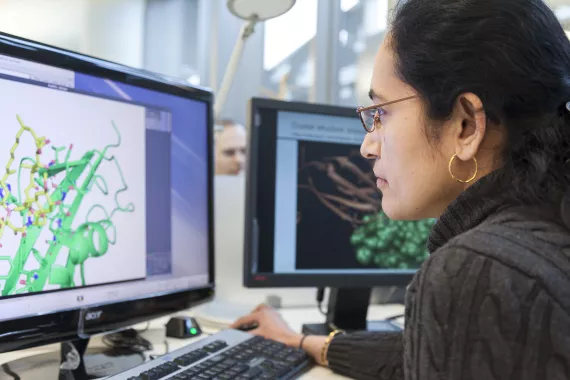 Scientist working on a computer