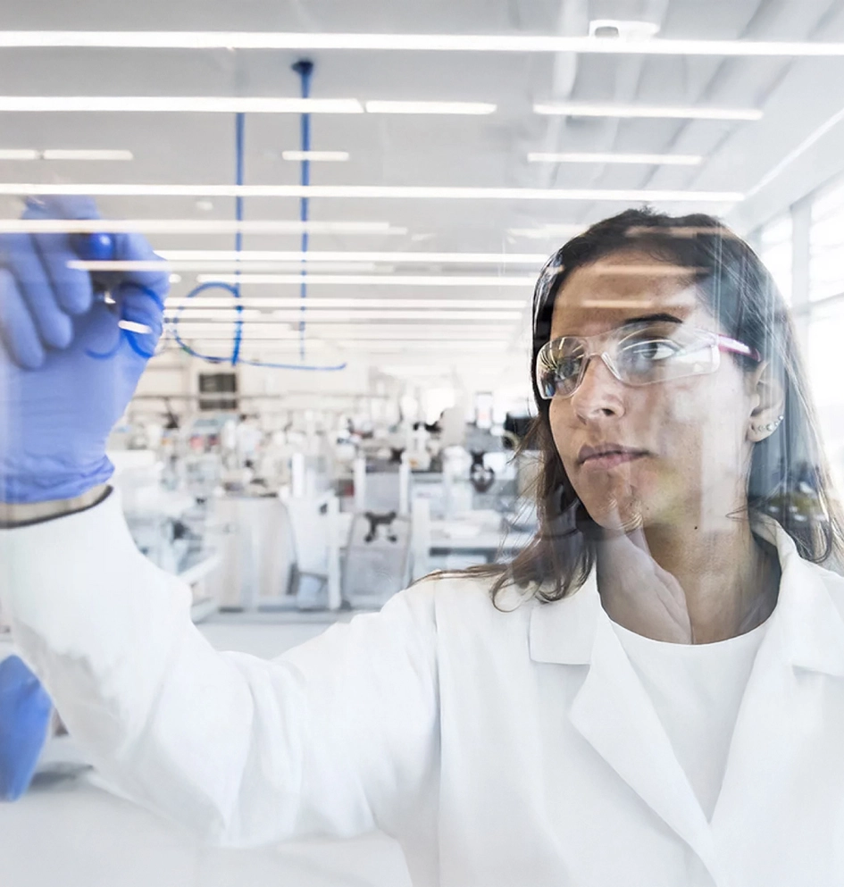 Biologists collaborating on wipe board