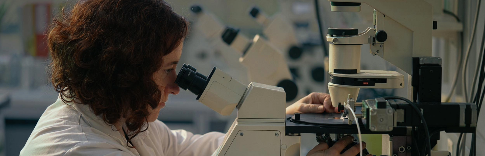 Actor portrayal, scientist examining cells under microscope