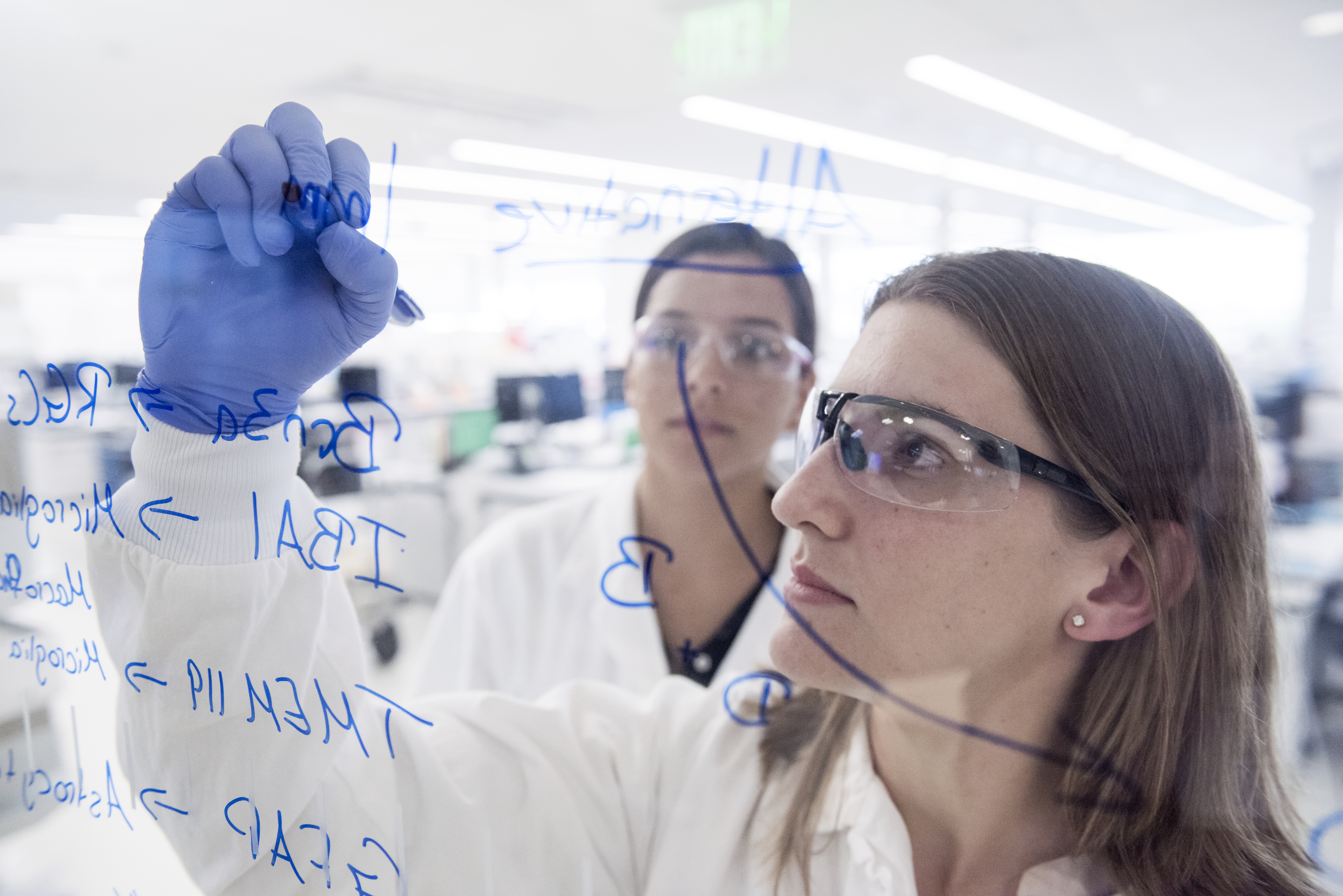 Biologists collaborating in a Novartis lab, advancing bold science across Rheumatology, Dermatology, and Allergy.