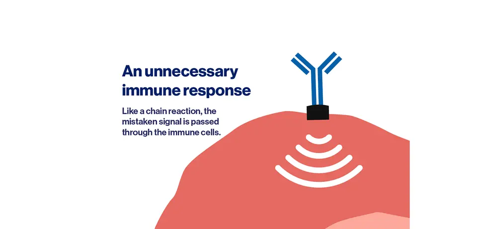 One potential cause of CSU: an overactive immune system - 2